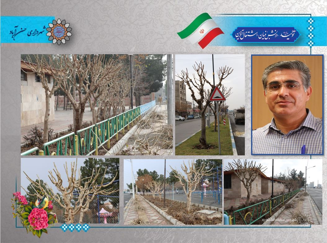 عملیات هرس و بازپیرایی درختان در شهر حسن آباد