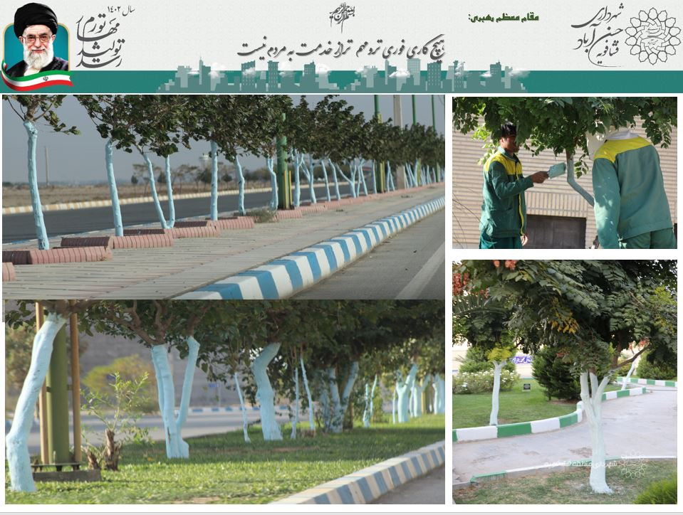 اجرای طرح محافظت از درختان  با استفاده از محلول بردو درشهرحسن آباد