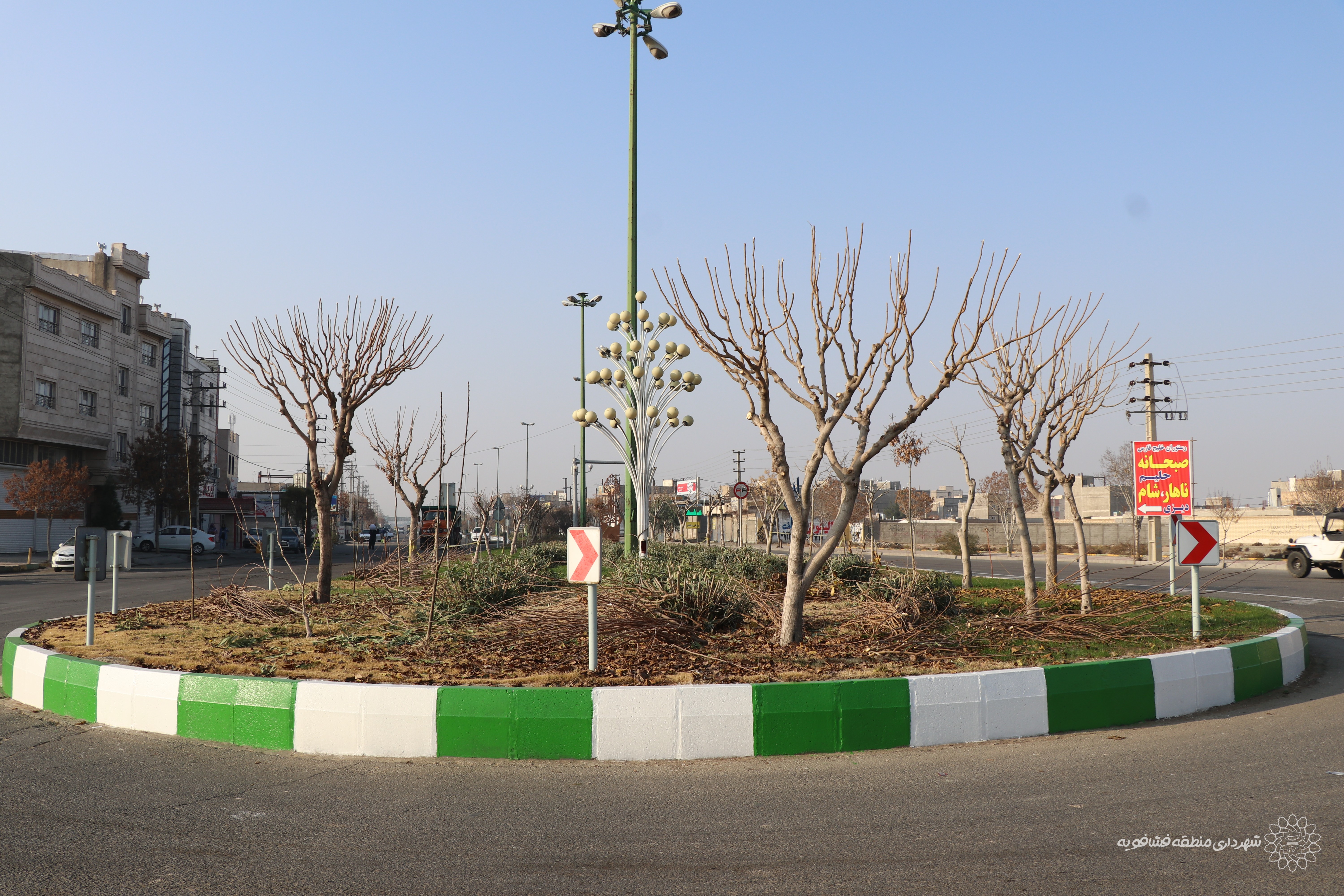 عملیات هرس درختان فضای سبز حسن آبادآغاز شد